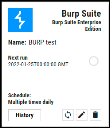 Burp Suite Enterprise - Configured Connector